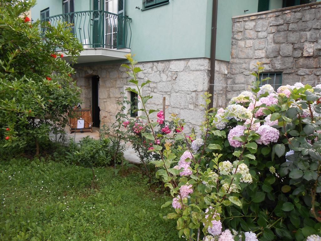 Tranquity Ika Apartment *